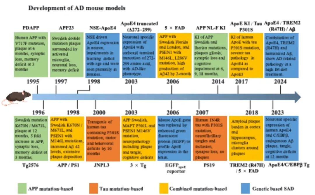 葉克強團隊：阿爾茨海默病小鼠模型轉化研究存在巨大挑戰(zhàn)