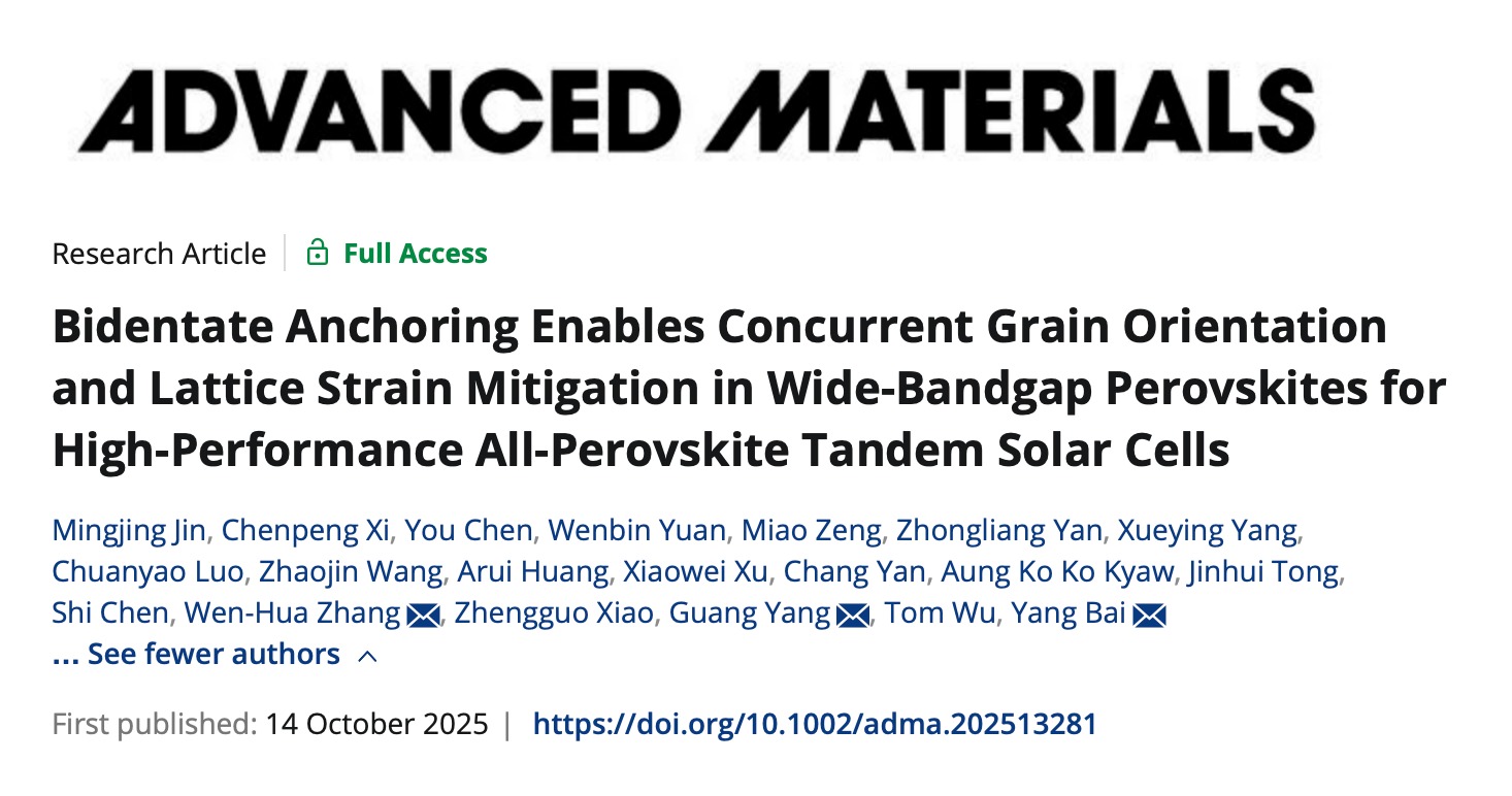 Advanced Materials｜深圳理工大學(xué)白楊團(tuán)隊(duì)聯(lián)合發(fā)表鈣鈦礦疊層光伏研究新成果