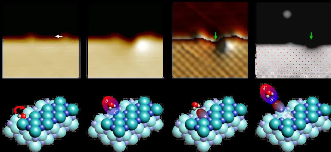 首次揭示食鹽原子級別溶解機制！深理工攜手韓國高校科研團隊取得重要成果