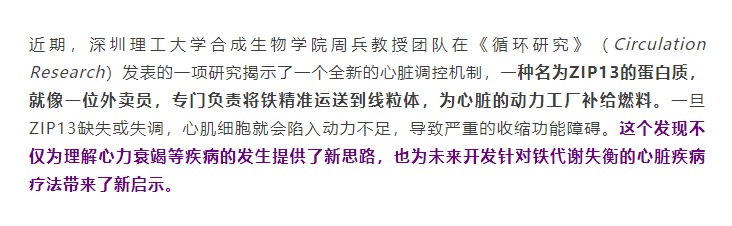 鐵少了，心真會(huì)“虛”，周兵教授團(tuán)隊(duì)揭示心臟能量枯竭的幕后推手