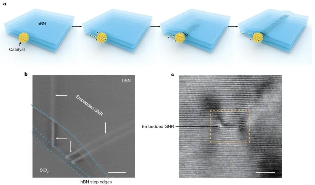 Nature｜ 深理工攜手三校，發(fā)現(xiàn)生長高質(zhì)量石墨烯納米帶的全新方法