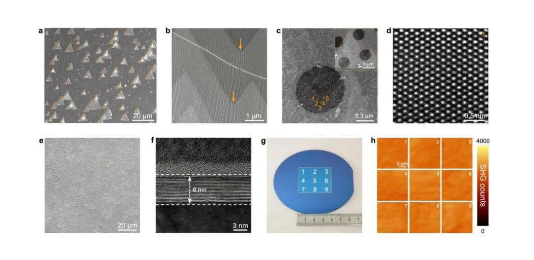 Nature|助力芯片技術(shù)變革性發(fā)展！深理工團隊在多層低維單晶材料制造方面取得重要進展