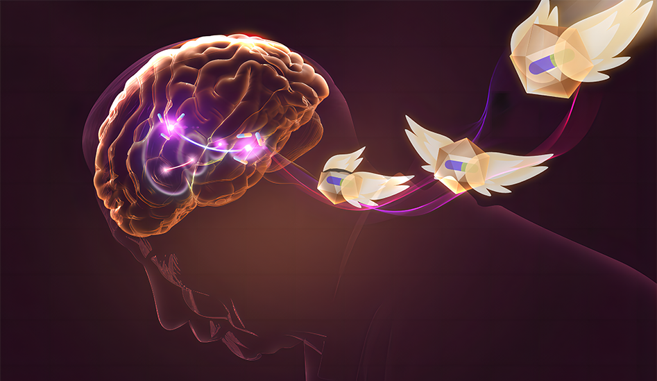 CELL | 深理工/中國科學(xué)院深圳先進(jìn)院腦科學(xué)研究團(tuán)隊提出帕金森病新型神經(jīng)調(diào)控療法