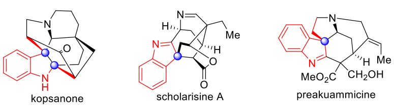 Angew. Chem. Int. Ed.|助力新藥研發(fā)！深理工團隊發(fā)現(xiàn)高效構(gòu)筑手性吲哚啉化合物庫新方法